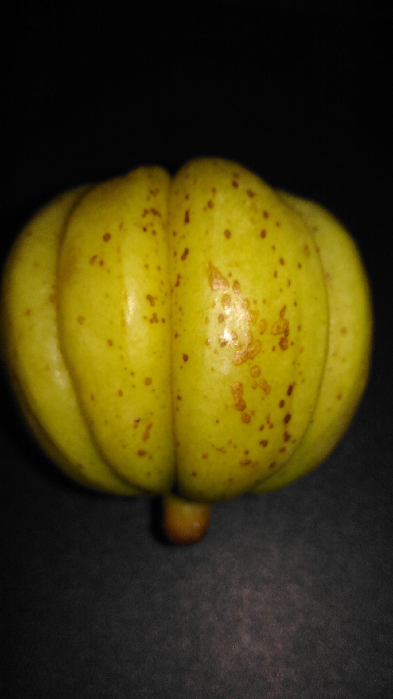 Garcinia Cambogia