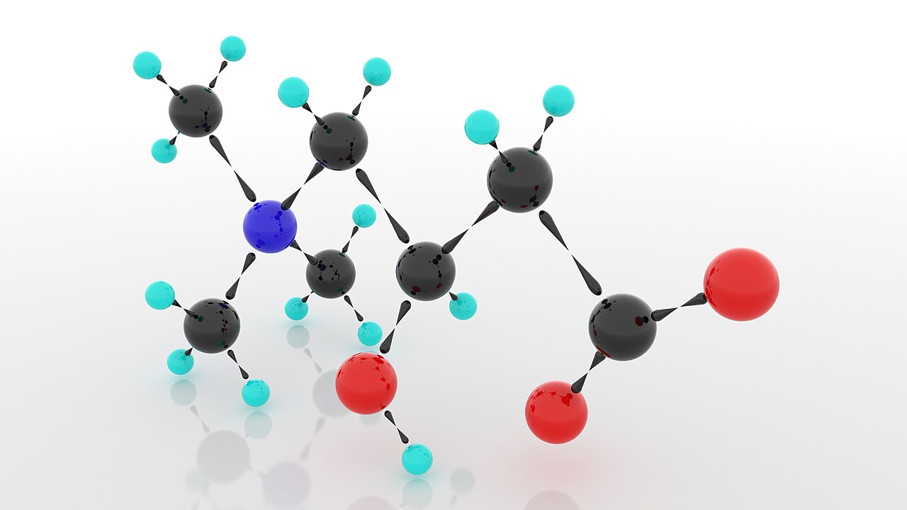 L-Carnitine