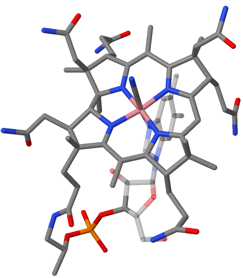Vitamin B12